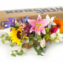wholesale flowers, wedding flowers, eco-friendly wedding flowers, bulk wedding flowers, wedding flowers online